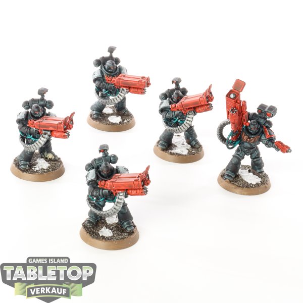 Black Templars - 5 x Desolation Squad - bemalt