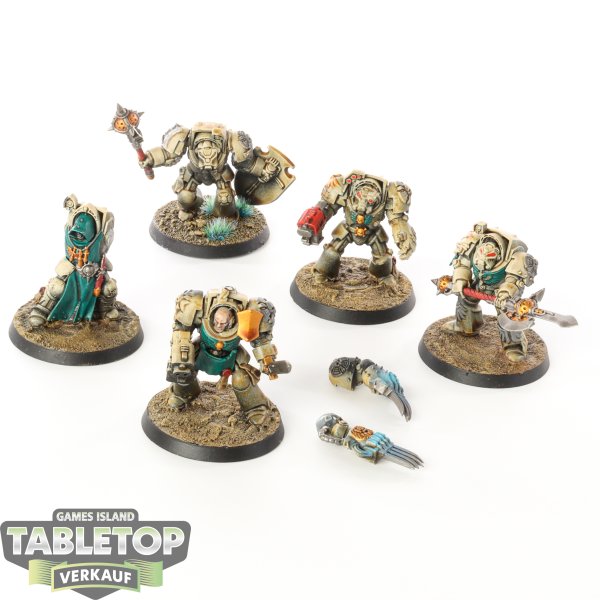 Dark Angels - 5 x Deathwing Terminators klassisch - bemalt