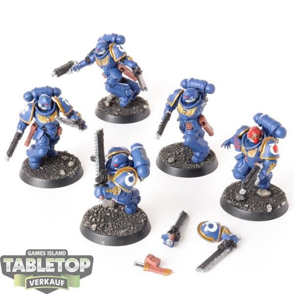 Ultramarines - 5 x Assault Intercessors - bemalt