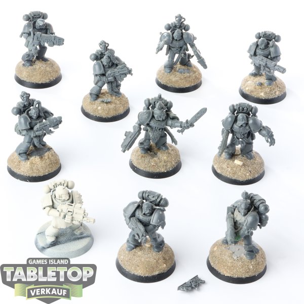 Space Wolves - 10x Grey Hunters - unbemalt