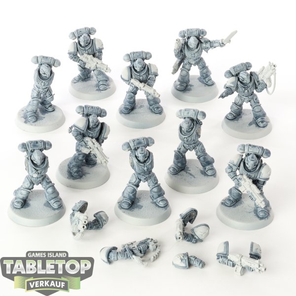 Space Wolves - 10 x Primaris Intercessors - teilweise bemalt