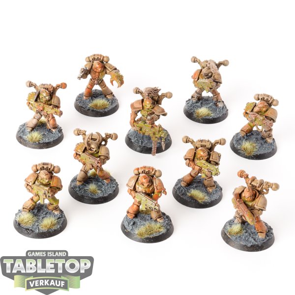 Chaos Space Marines - 10x  Chaos Space Marines - bemalt