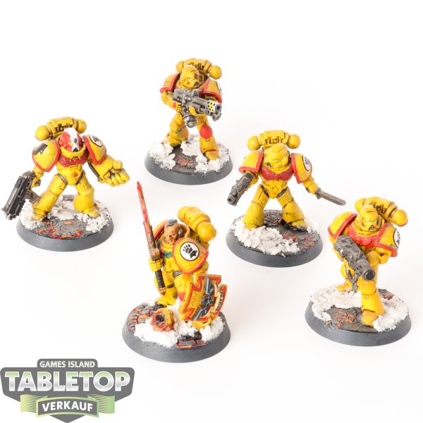 Imperial Fists - 5x Veteran Squad - bemalt