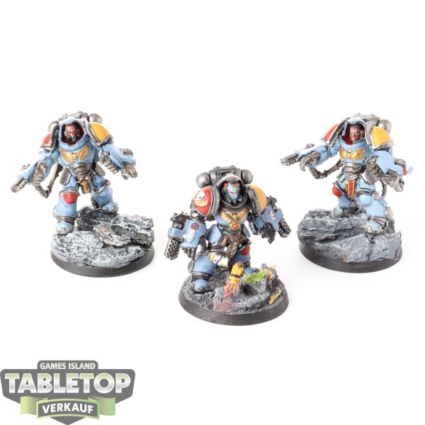 Space Wolves - 3 Primaris Aggressors - bemalt