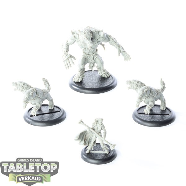 Circle Orboros - Circle Orboros Battlegroup Starter - unbemalt