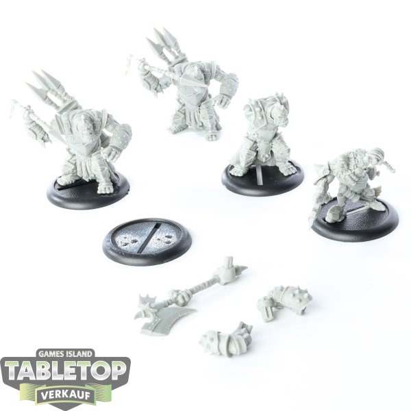 Trollbloods - Trollbloods Battlegroup - unbemalt