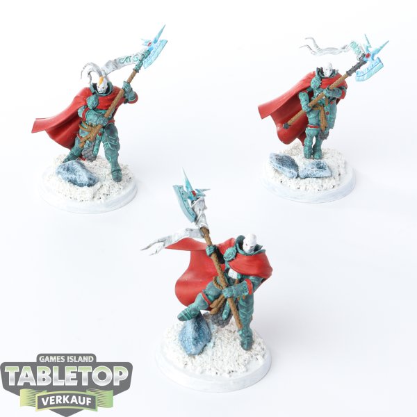 Stormcast Eternals - 3 x Praetors - bemalt