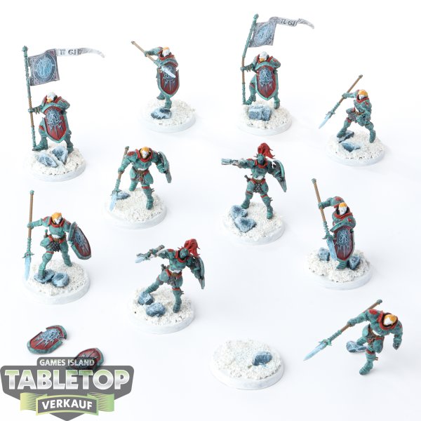 Stormcast Eternals - 10 x Vindictors - bemalt