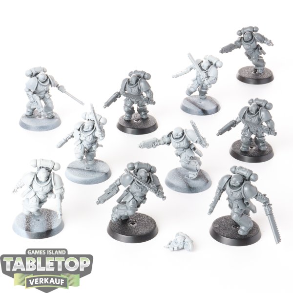 Space Marines - 10x Assault Intercessors - teilweise bemalt