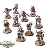 White Scars - 10x Primaris Infiltrators - bemalt