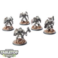 White Scars - 5x Terminator Assault Squad - bemalt