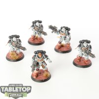 Space Marines - 5 Intercessors - gut bemalt