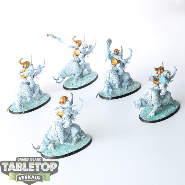 Ogor Mawtribes - 5 x Mournfang Pack - teilweise bemalt