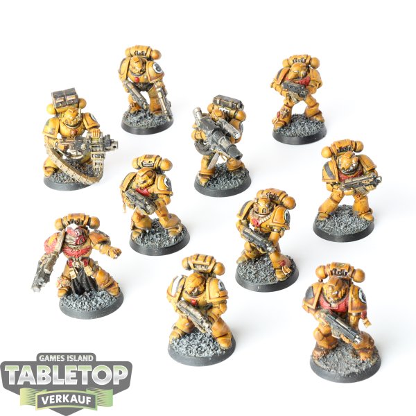 Imperial Fists - 10 Tactical Marines klassisch - bemalt