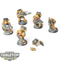 Imperial Fists - 5 Devastators klassisch - bemalt