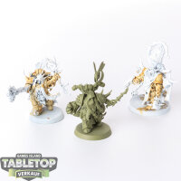 Death Guard - Chosen of Mortarion - teilweise bemalt