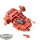 Blood Angels - 1x Land Speeder Base fehlt- klassisch - grundiert