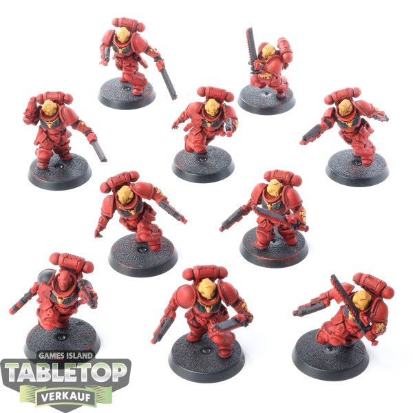Space Marines - 10x Assault Intercessors - bemalt