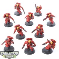 Space Marines - 10x Assault Intercessors - bemalt