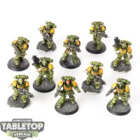 Space Marines - 10 Primaris Intercessors - bemalt