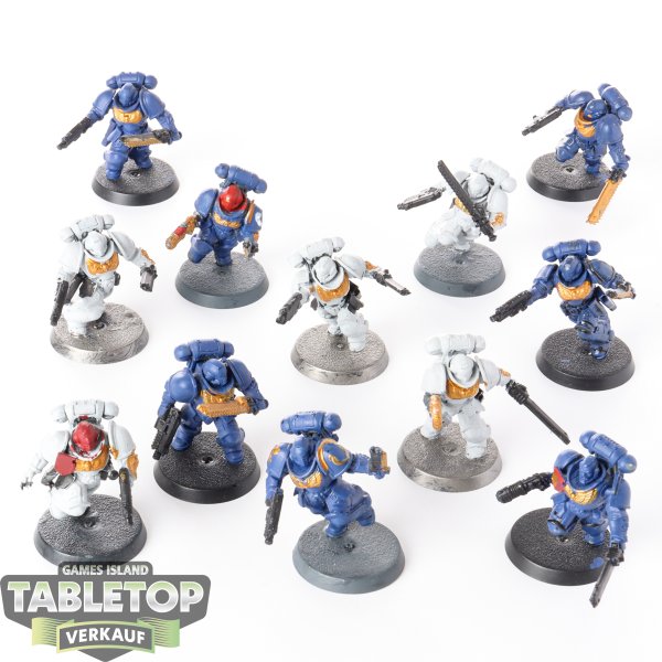 Space Marines - 12x Assault Intercessors - teilweise bemalt