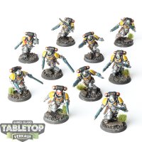 Space Marines - 10x Assault Intercessors - bemalt