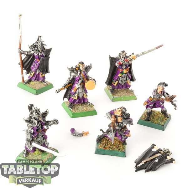 Dark Elves - Dark Elves Command Unit - bemalt