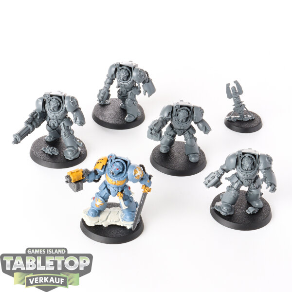 Space Marines - 5x Terminator Squad - teilweise bemalt