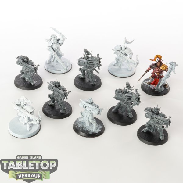 Stormcast Eternals - 10 Judicators - teilweise bemalt