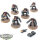Space Marines - 6x Terminator Squad klassisch - bemalt