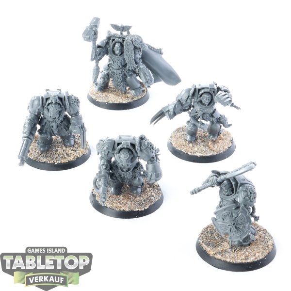 Space Wolves - 5x Wolf Guard Terminators - unbemalt