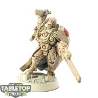 Tau Empire - Cadre Fireblade - teilweise bemalt