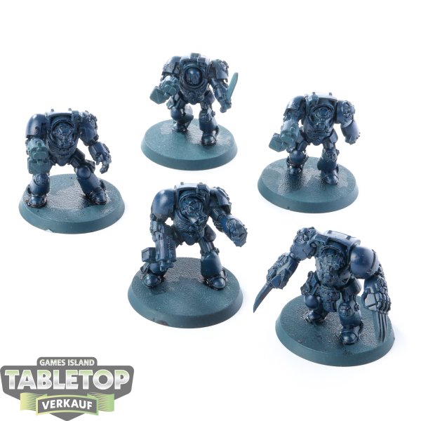Space Marines - 5x Terminator Squad klassisch - teilweise bemalt