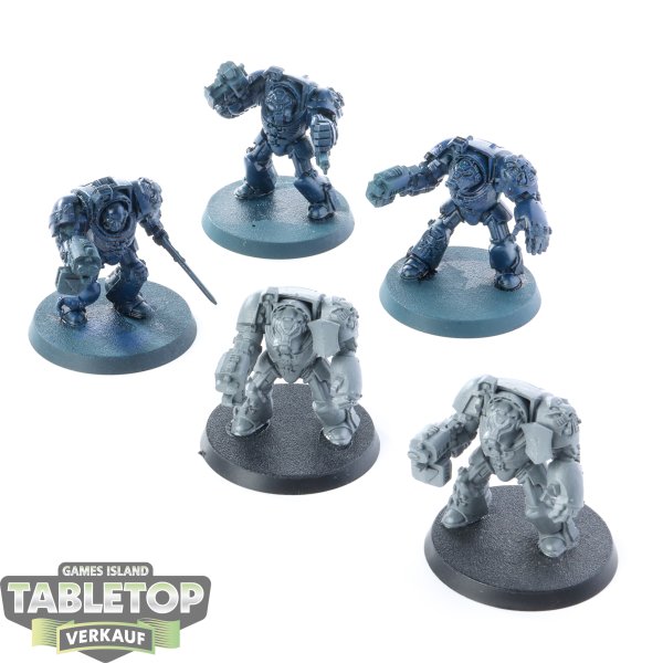 Space Marines - 5x Terminator Squad klassisch - teilweise bemalt