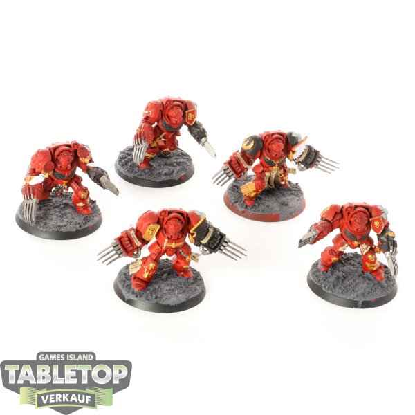 Blood Angels - 5x Blood Angels Terminator Assault Squad - teilweise bemalt