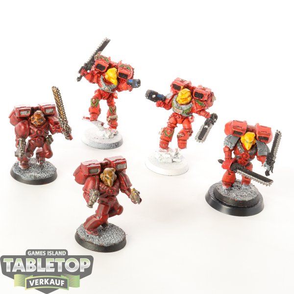 Blood Angels - 5x Assault Marines - klassisch - teilweise bemalt