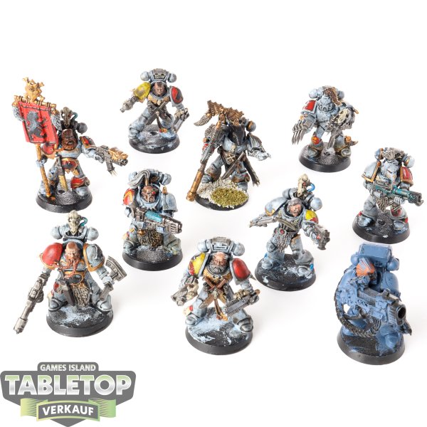 Space Wolves - 10 x Grey Hunters - teilweise bemalt