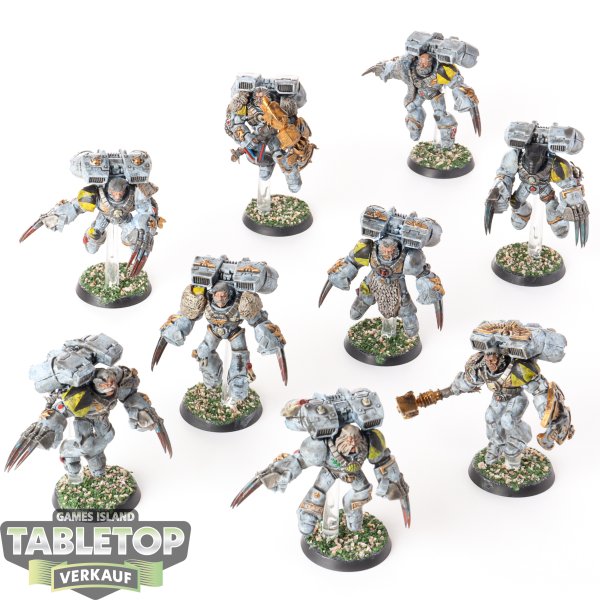 Space Wolves - 9 x Vanguard Veteran Squad - bemalt