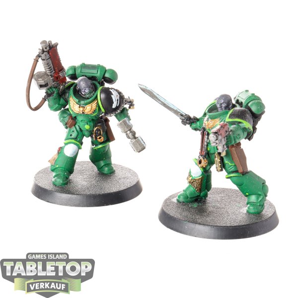 Salamanders - 2 x Primaris Lieutenant klassisch - teilweise bemalt