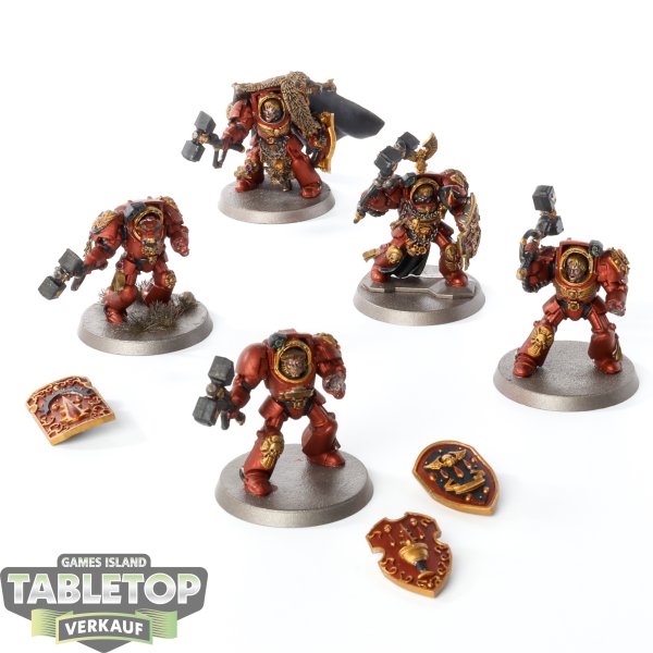 Blood Angels - 5 x Blood Angels Terminator Assault Squad - bemalt