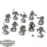 Space Wolves - 10x Grey Hunters - bemalt