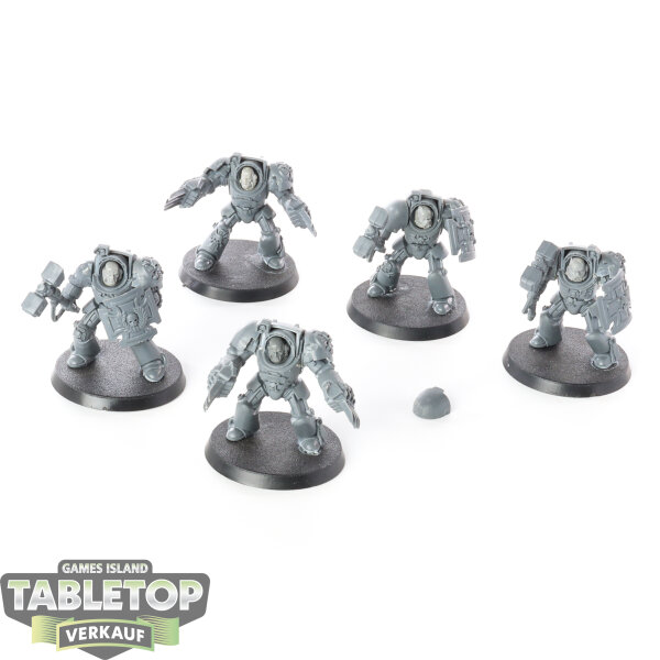 Space Marines - 5x Terminator Assault Squad - unbemalt