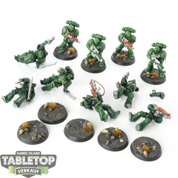 Dark Angels - 10x Assault Intercessors - bemalt