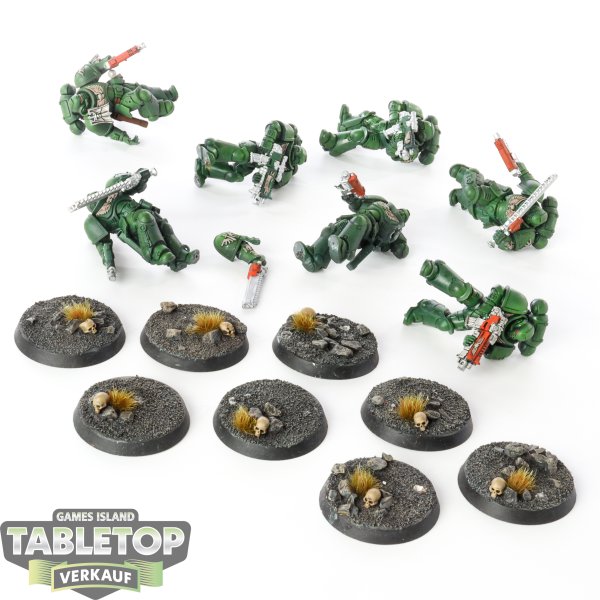 Dark Angels - 7x Assault Intercessors - bemalt