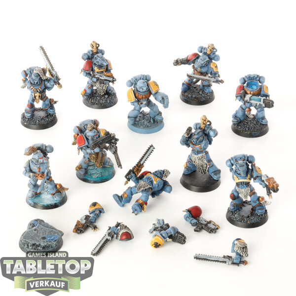 Space Wolves - 10 x Grey Hunters - teilweise bemalt