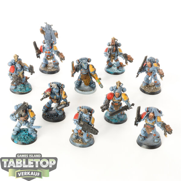 Space Wolves - 10 x Grey Hunters - teilweise bemalt