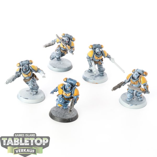 Space Marines - 5x Assault Intercessors - bemalt