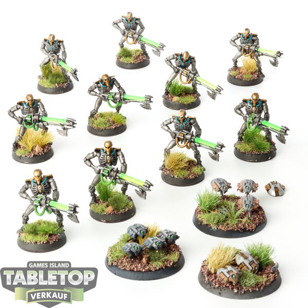 Necrons - 10 Necron Warriors & 3 Scarabs klassisch - bemalt
