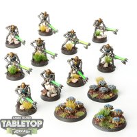 Necrons - 10 Necron Warriors & 3 Scarabs klassisch -...