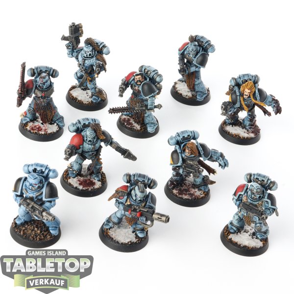 Space Wolves - 10 x Grey Hunters - bemalt